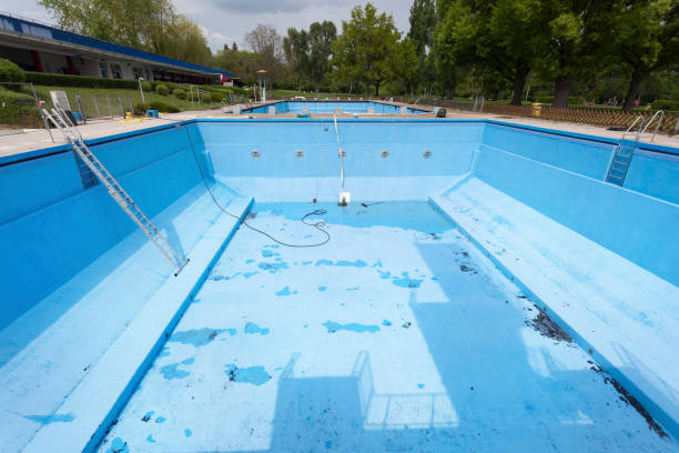 Best Water damage cleanup near me  in Foresthill, CA