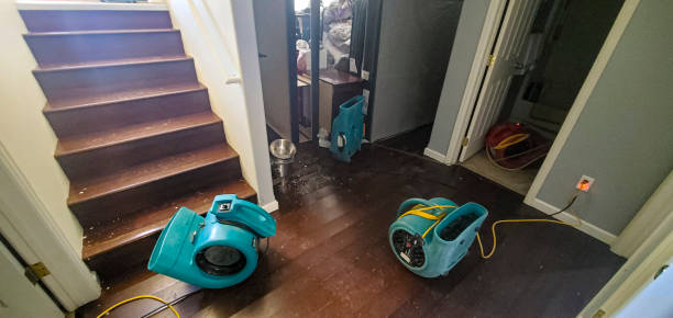 Best Mold removal after water damage  in Foresthill, CA