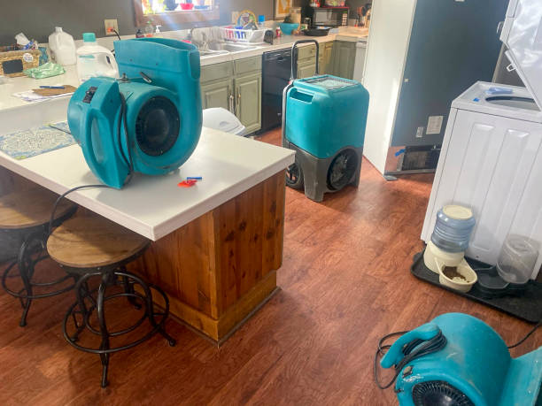 Best Ceiling water damage repair  in Foresthill, CA
