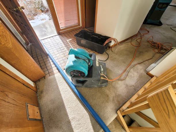 Best Carpet water damage restoration  in Foresthill, CA
