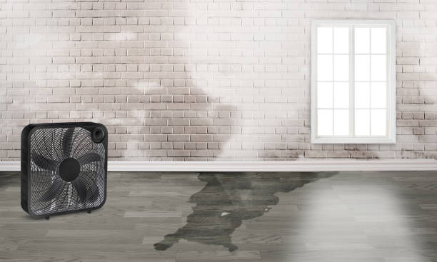 Water damage restoration process in Foresthill, CA