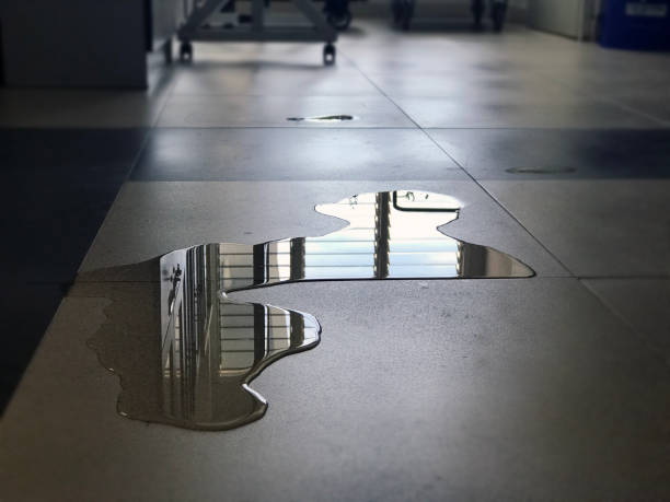 Best Water damage restoration cost  in Foresthill, CA