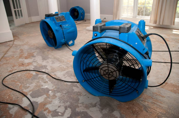 Best Basement water damage restoration  in Foresthill, CA