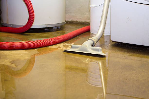Best 24-hour water damage restoration  in Foresthill, CA