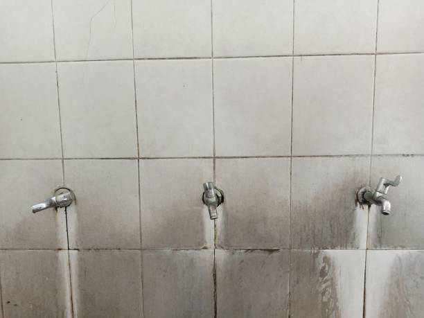 Foresthill, CA Water damage restoration Company