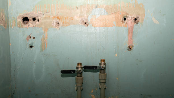 Best Water damage restoration process  in Foresthill, CA