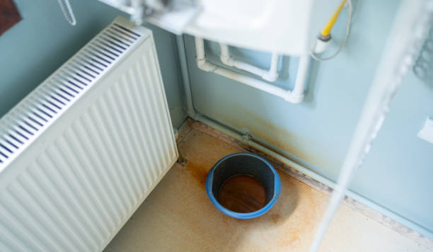 Best Water damage repair service  in Foresthill, CA
