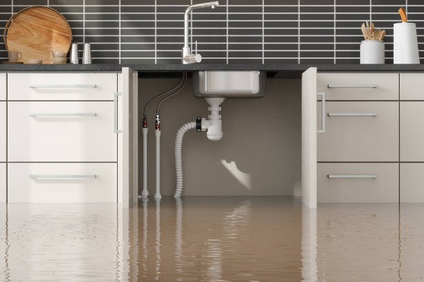 Professional Water damage restoration in Foresthill, CA