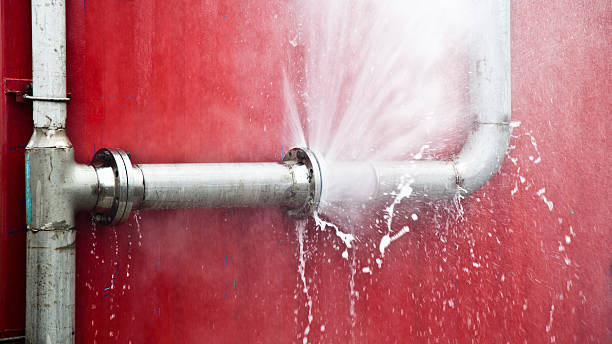 Foresthill, CA Water damage restoration Pros