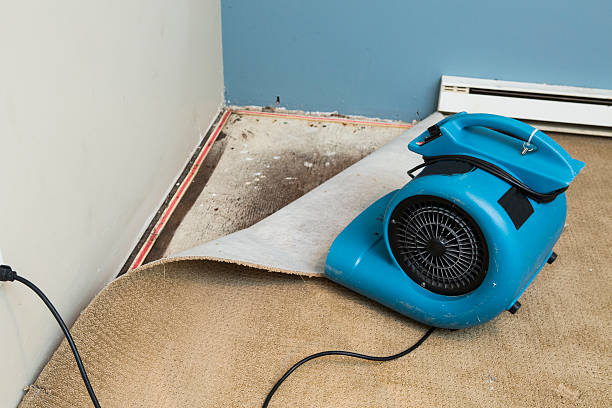 Best Flood restoration services  in Foresthill, CA